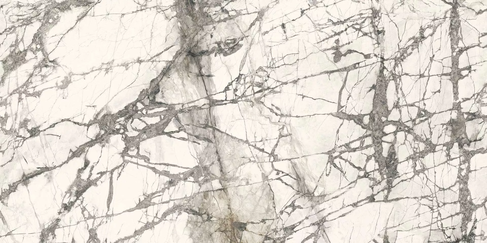 Calacatta Grey Lucido 150x300